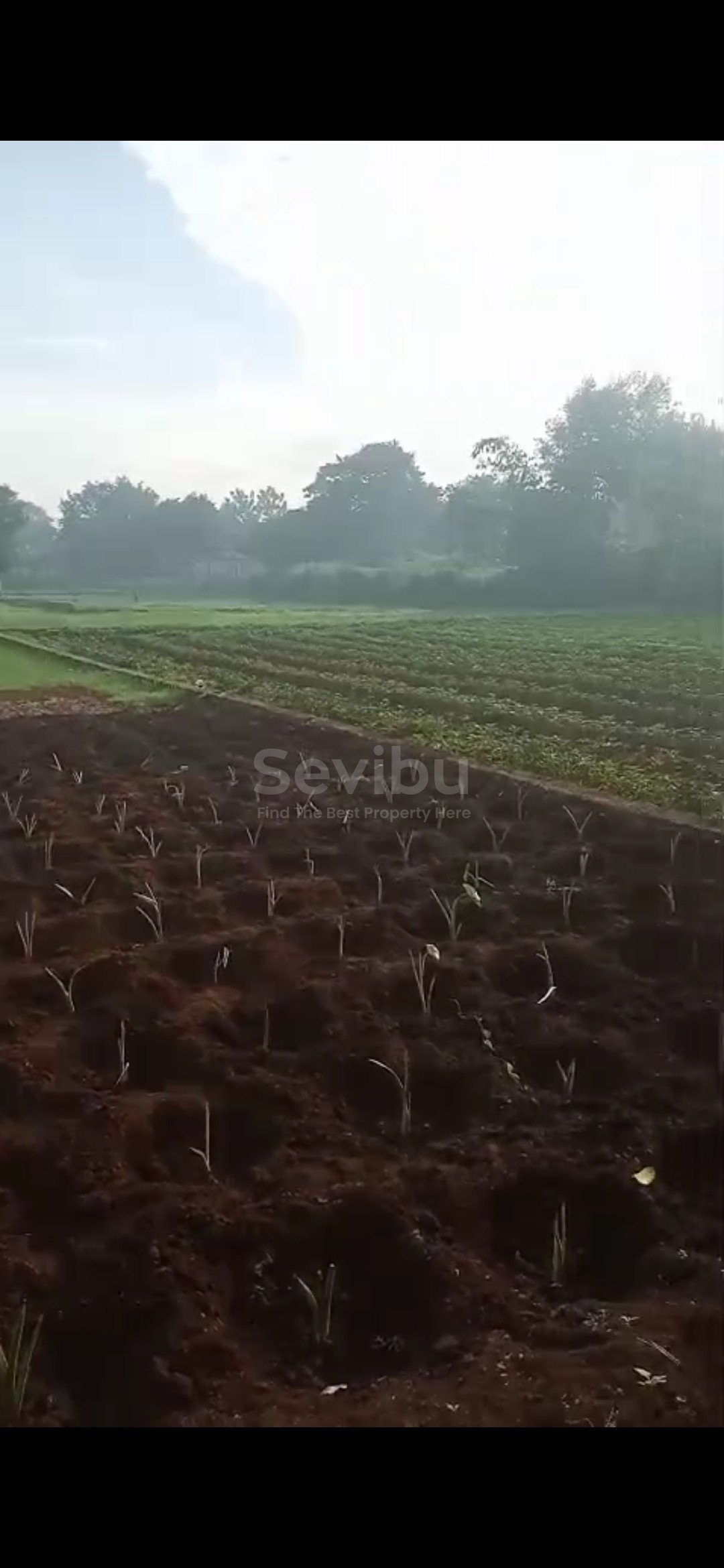 Screenshot_2025-11-27-19-52-08-561_com.whatsapp