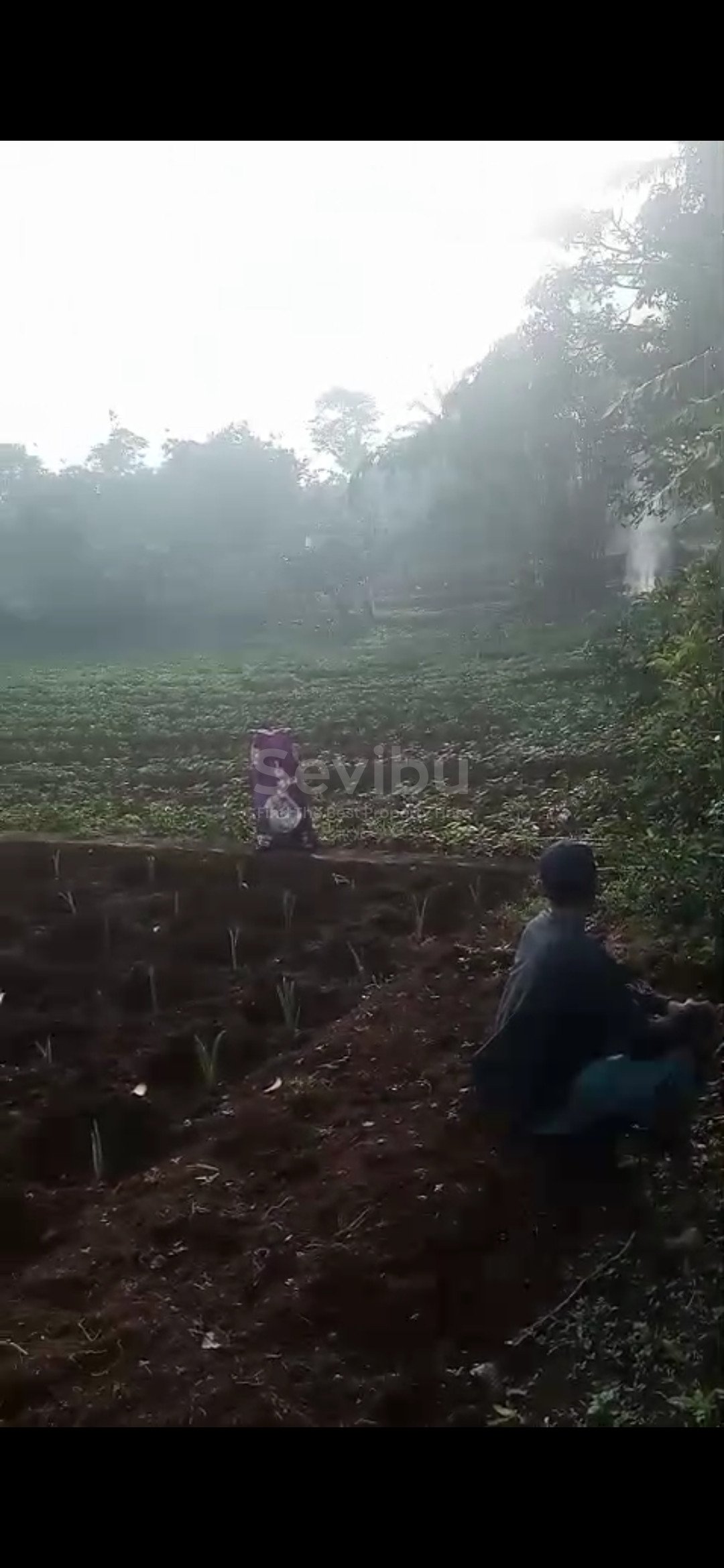 Screenshot_2025-11-27-19-52-32-166_com.whatsapp