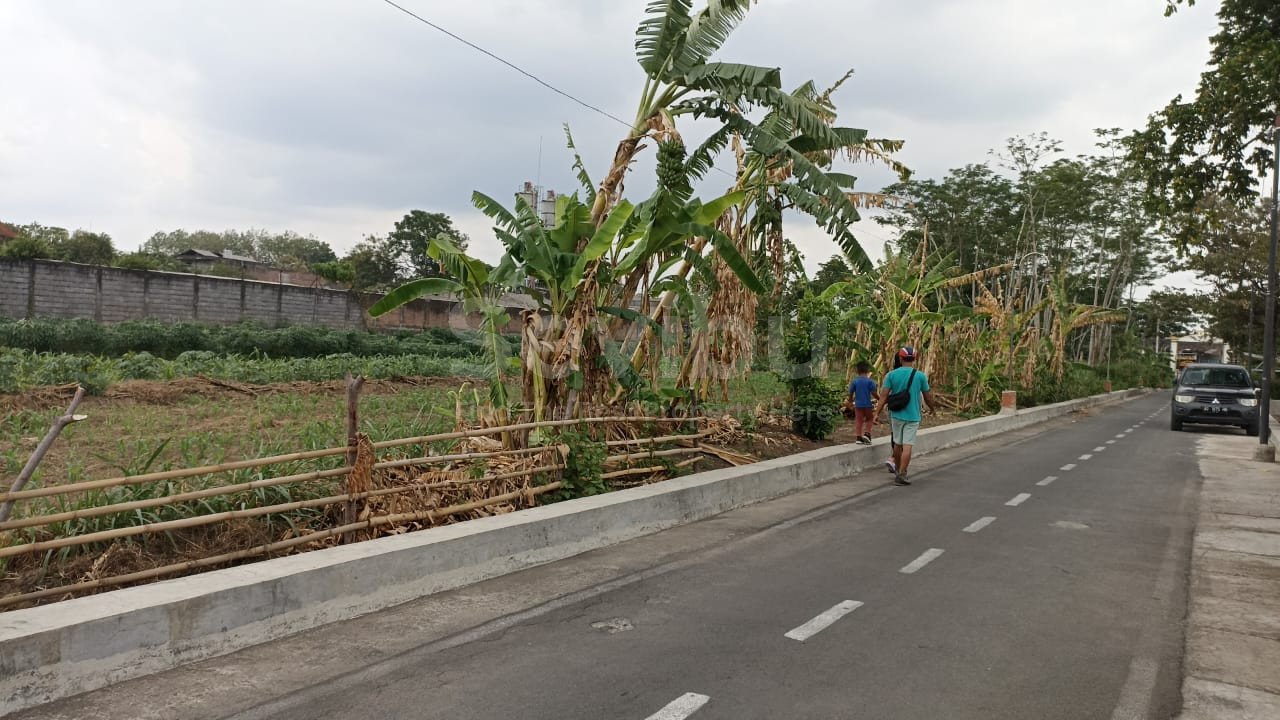 WhatsApp Image 2023-11-30 at 12.39.43 (1)