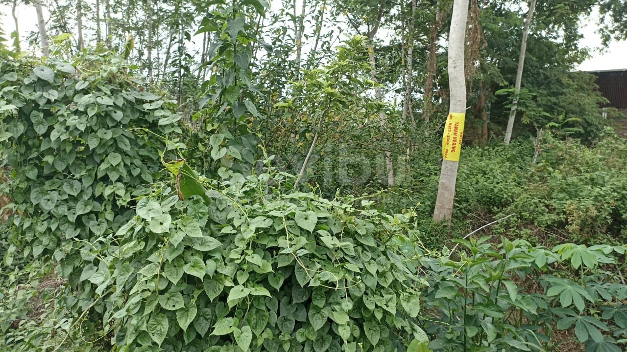 WhatsApp Image 2023-11-30 at 12.39.43 (2)