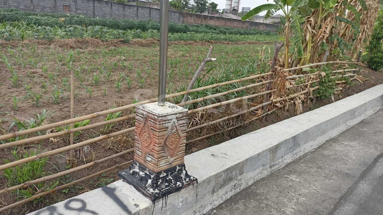 WhatsApp Image 2023-11-30 at 12.39.43