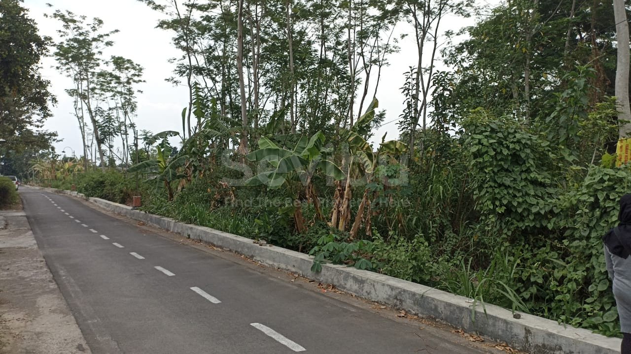 WhatsApp Image 2023-11-30 at 12.39.44