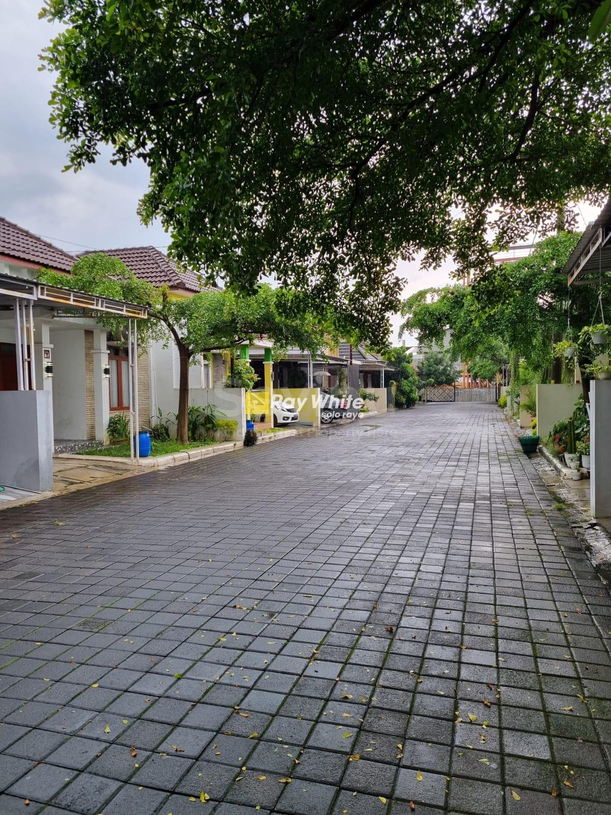 WhatsApp-Image-2025-08-23-at-13.15.12