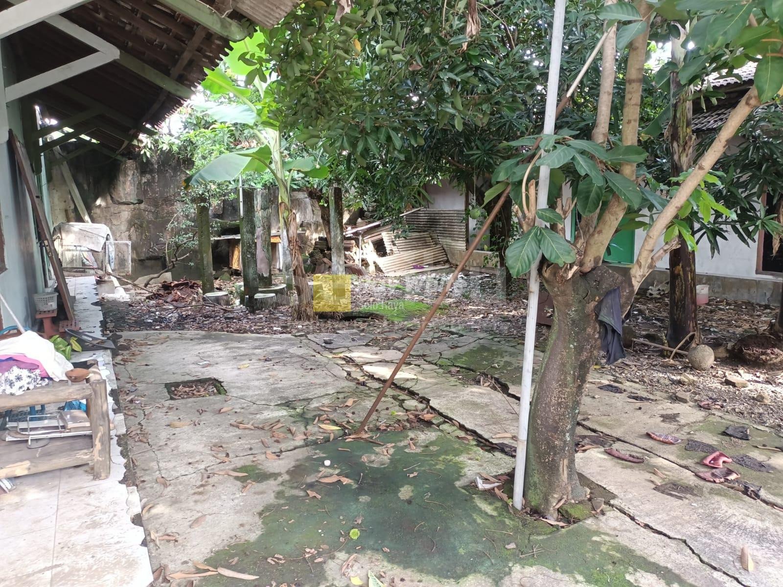 WhatsApp-Image-2025-11-22-at-13.18.05-1