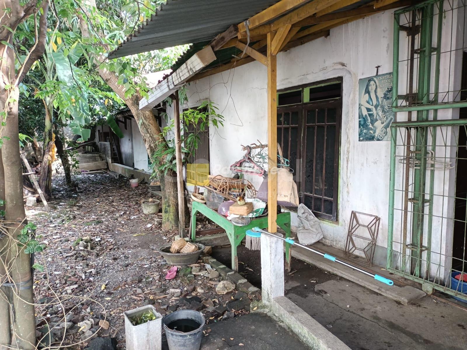 WhatsApp-Image-2025-11-22-at-13.18.05-2