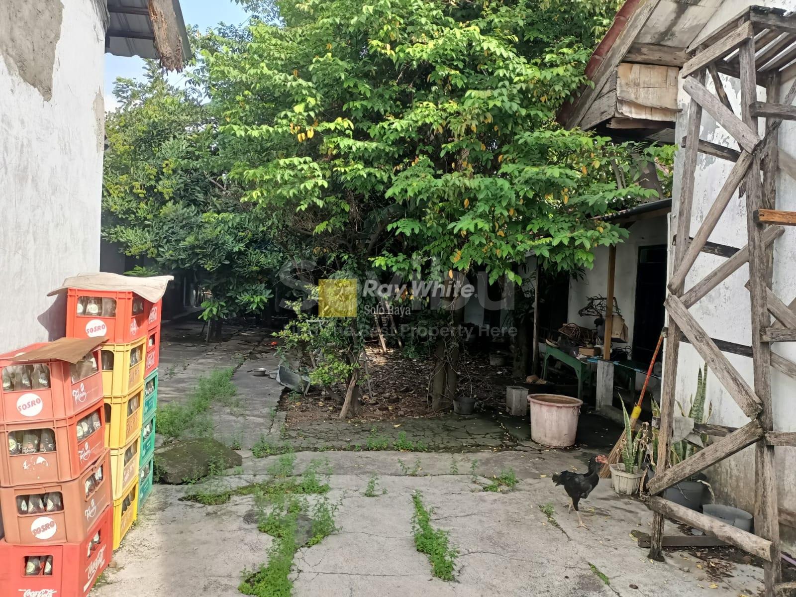 WhatsApp-Image-2025-11-22-at-13.18.09