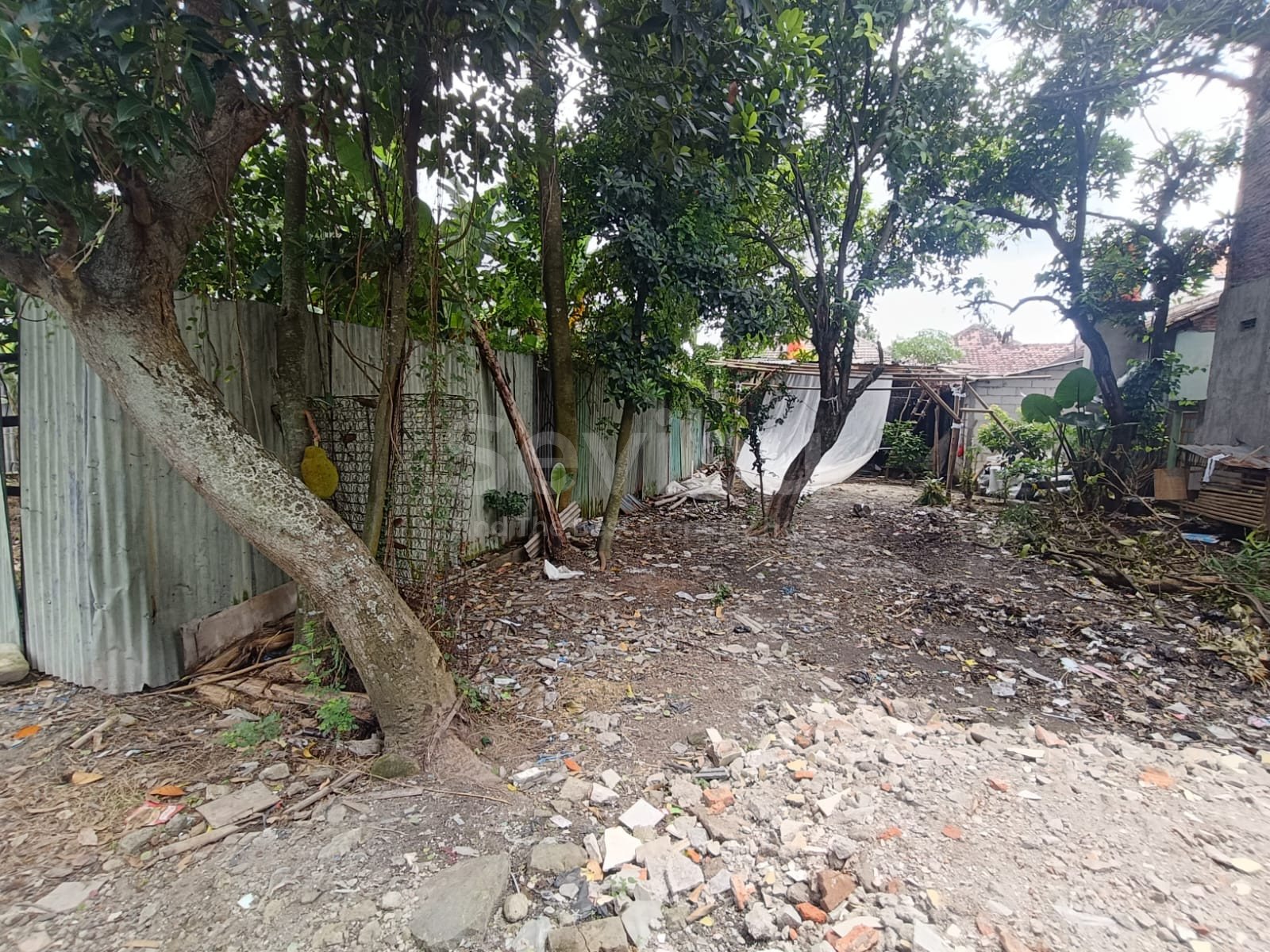 WhatsApp Image 2025-11-29 at 10.18.45