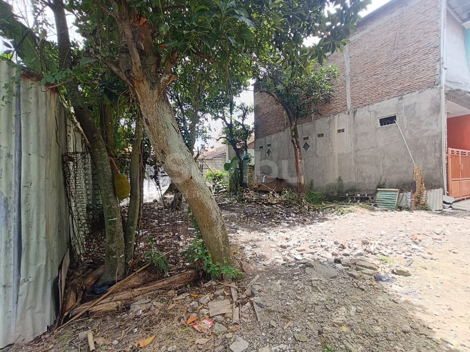 WhatsApp Image 2025-11-29 at 10.18.46 (1)