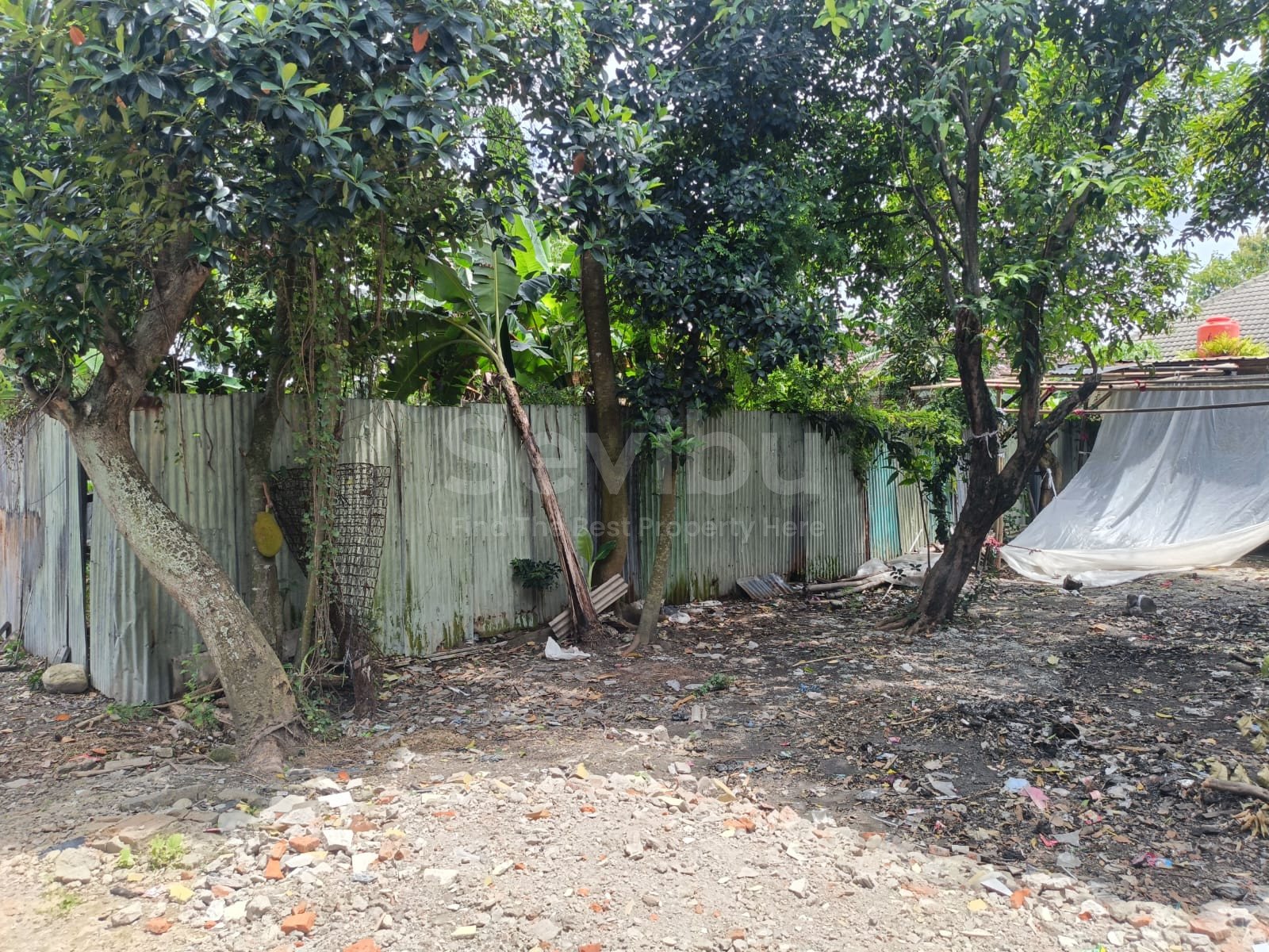 WhatsApp Image 2025-11-29 at 10.18.46