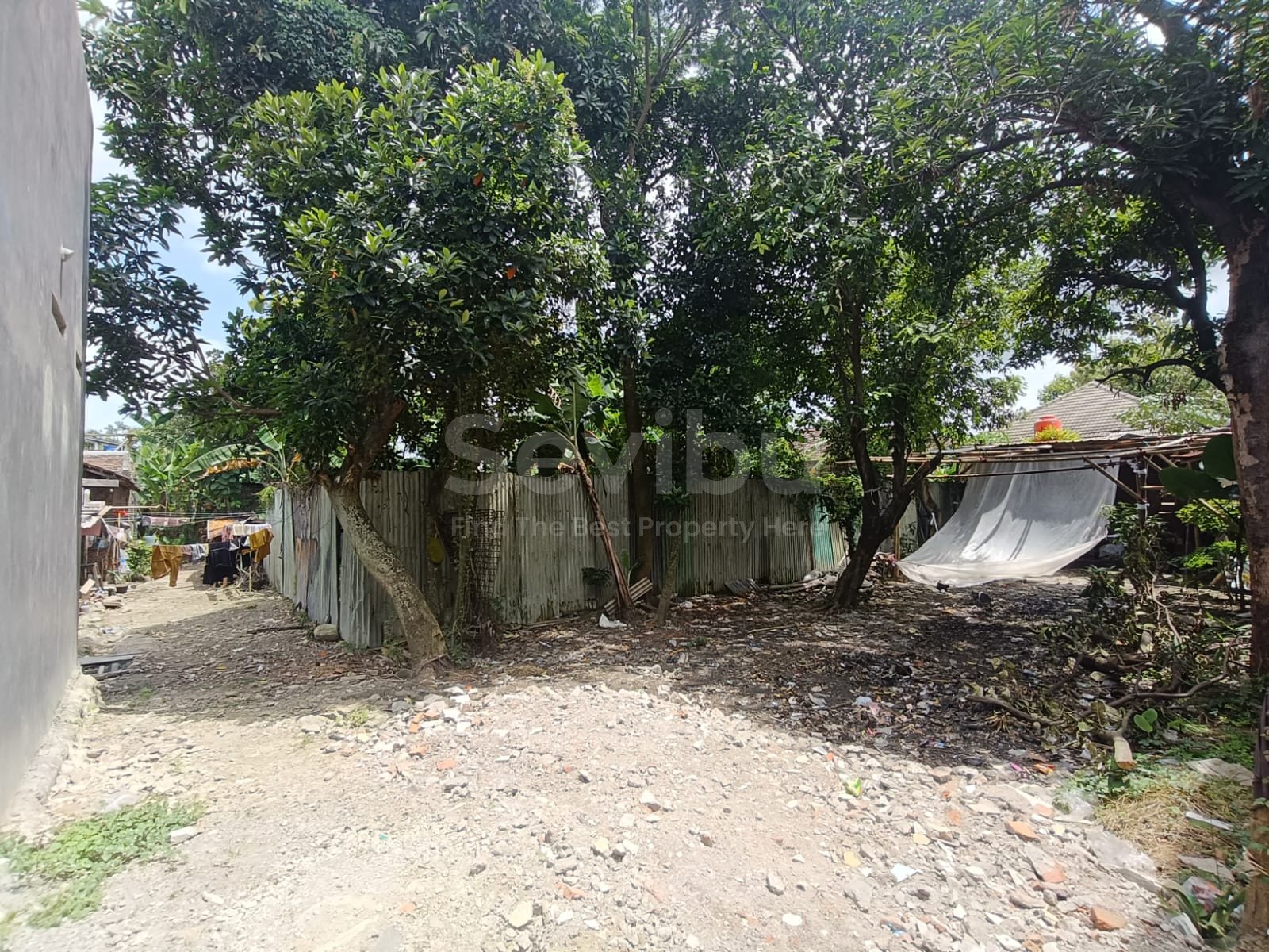 WhatsApp Image 2025-11-29 at 10.19.09 (1)