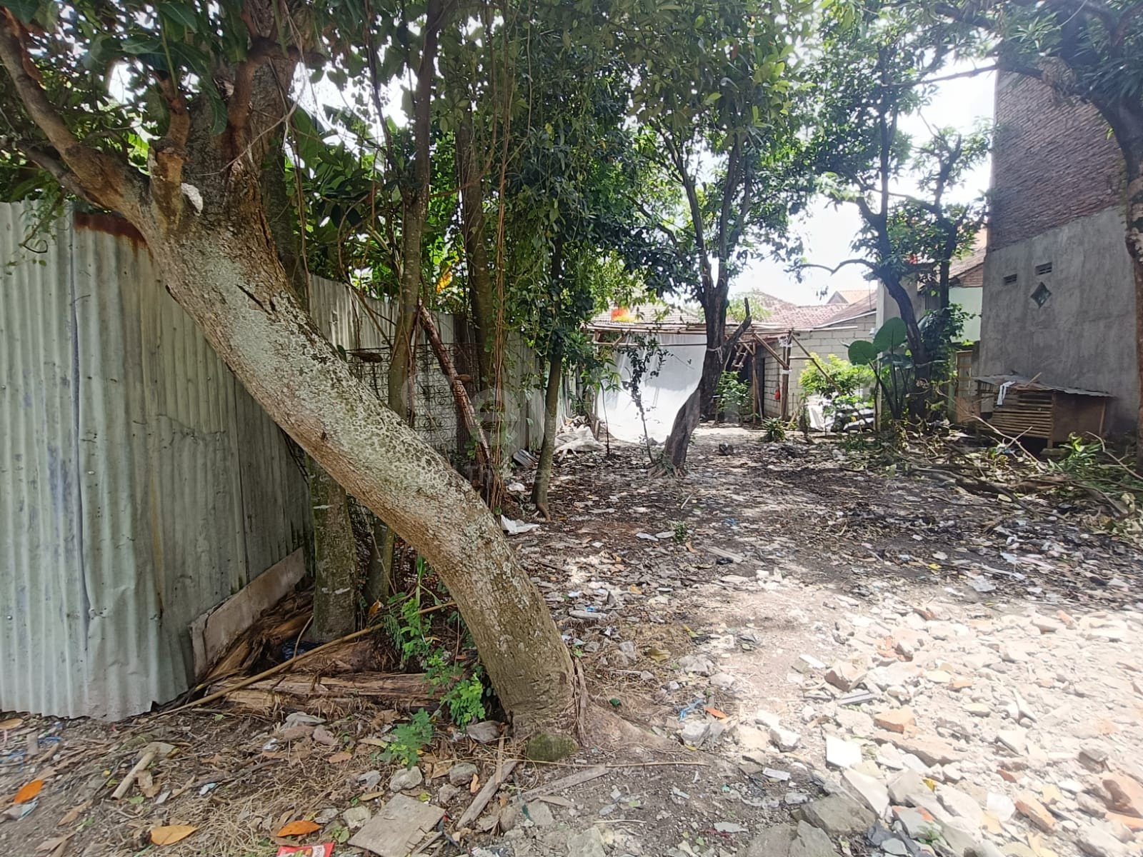 WhatsApp Image 2025-11-29 at 10.19.09 (2)