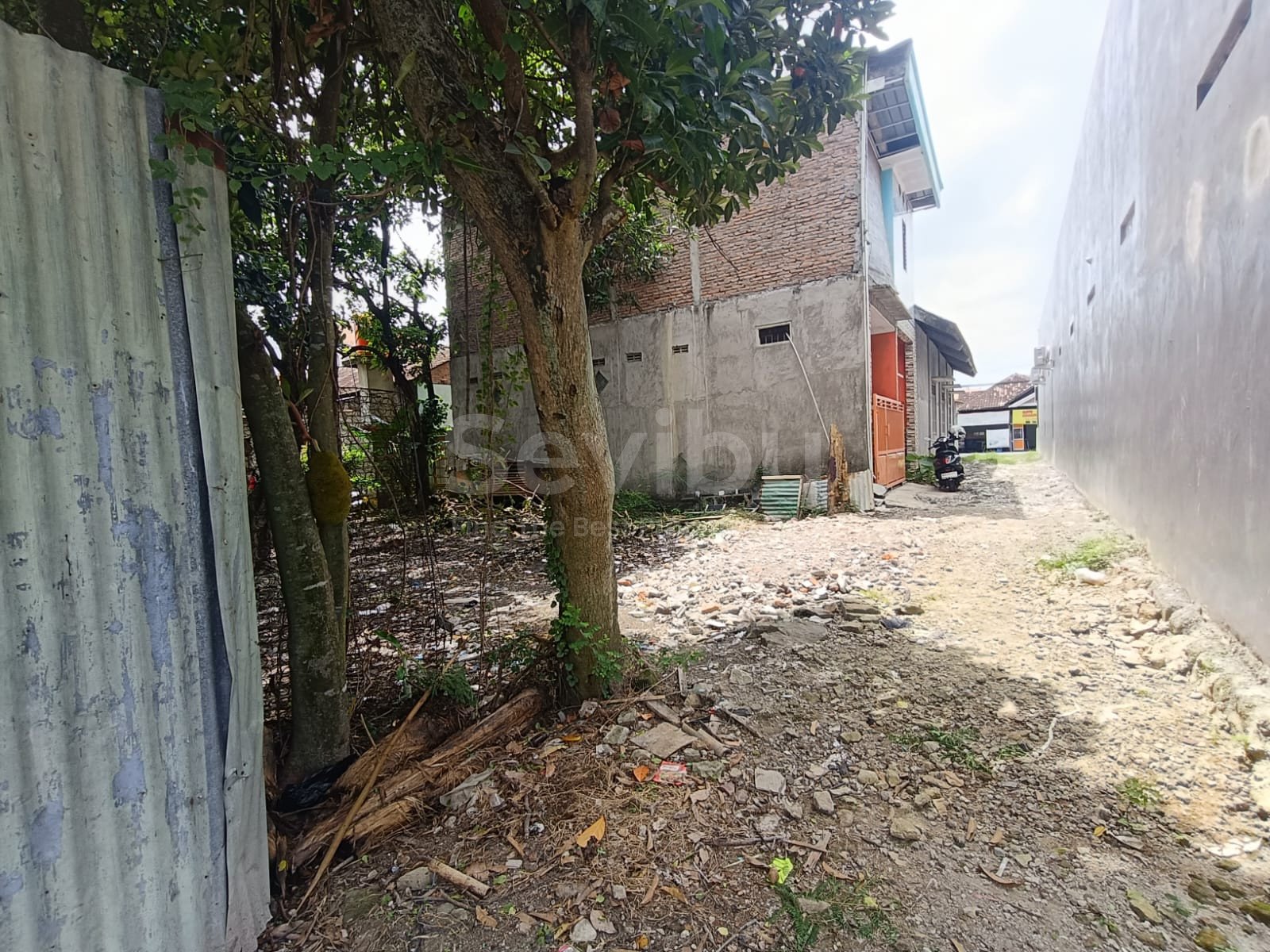 WhatsApp Image 2025-11-29 at 10.19.09