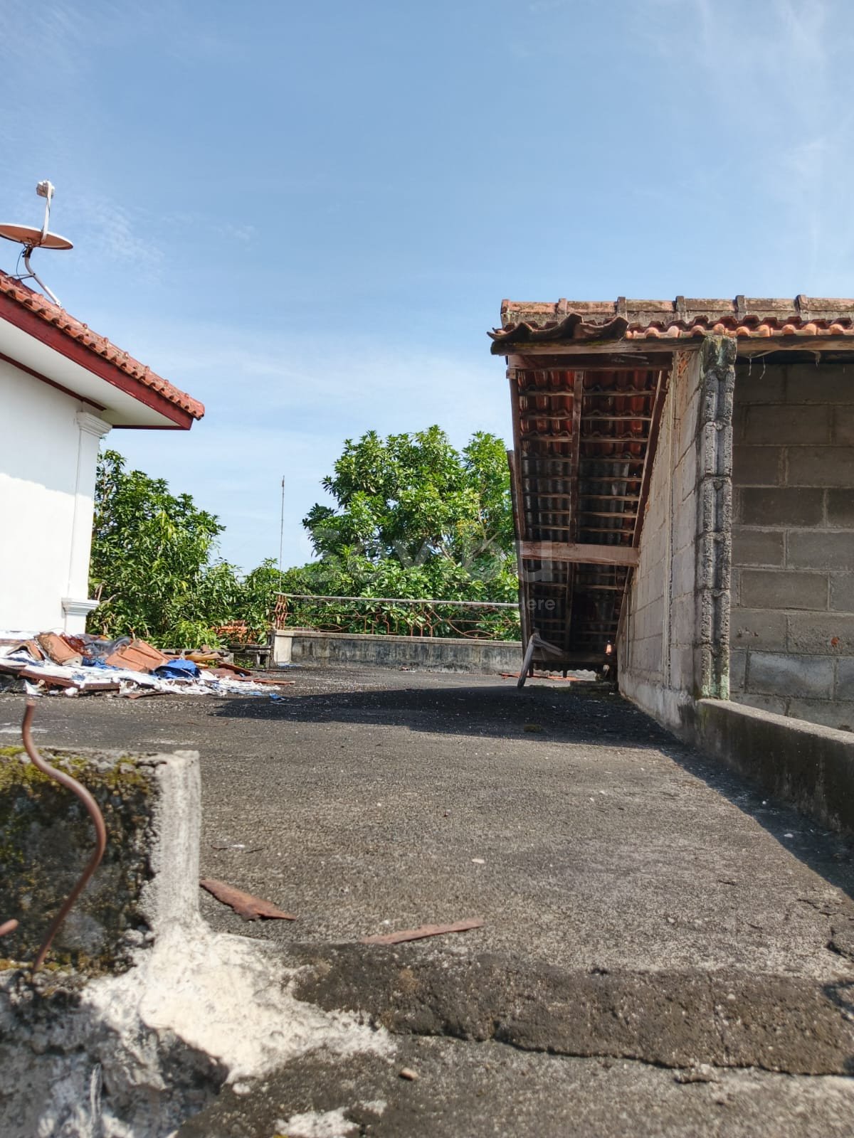 WhatsApp Image 2025-12-03 at 11.38.12 (1)