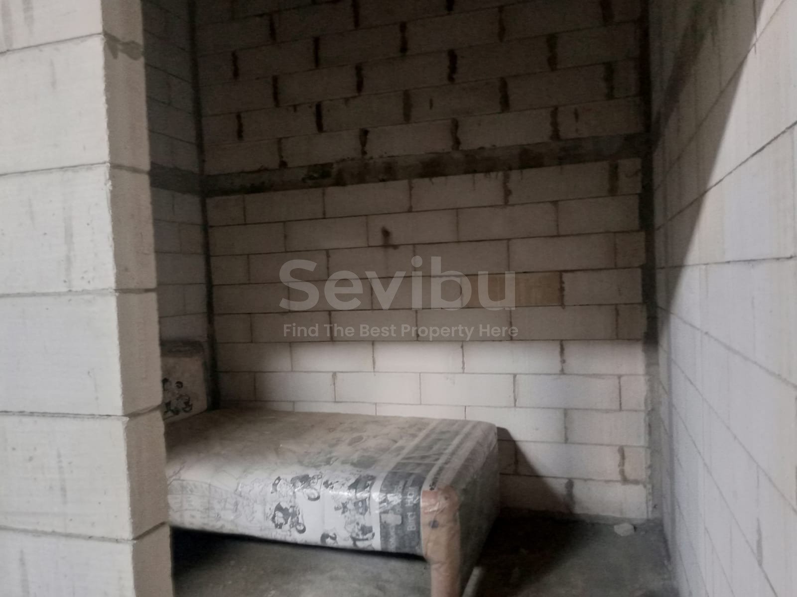 WhatsApp Image 2025-12-04 at 09.58.23