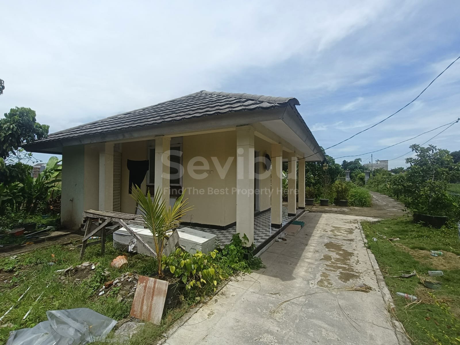 WhatsApp Image 2025-12-06 at 16.51.07