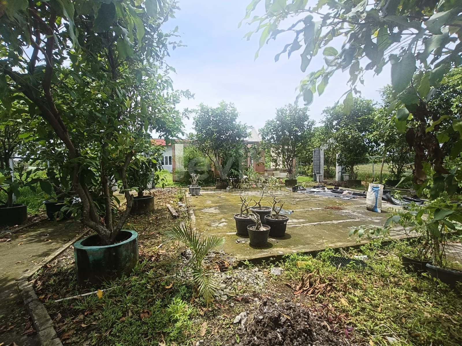 WhatsApp Image 2025-12-06 at 16.51.09 (1)