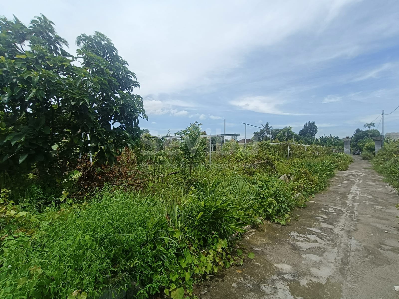 WhatsApp Image 2025-12-06 at 16.51.45