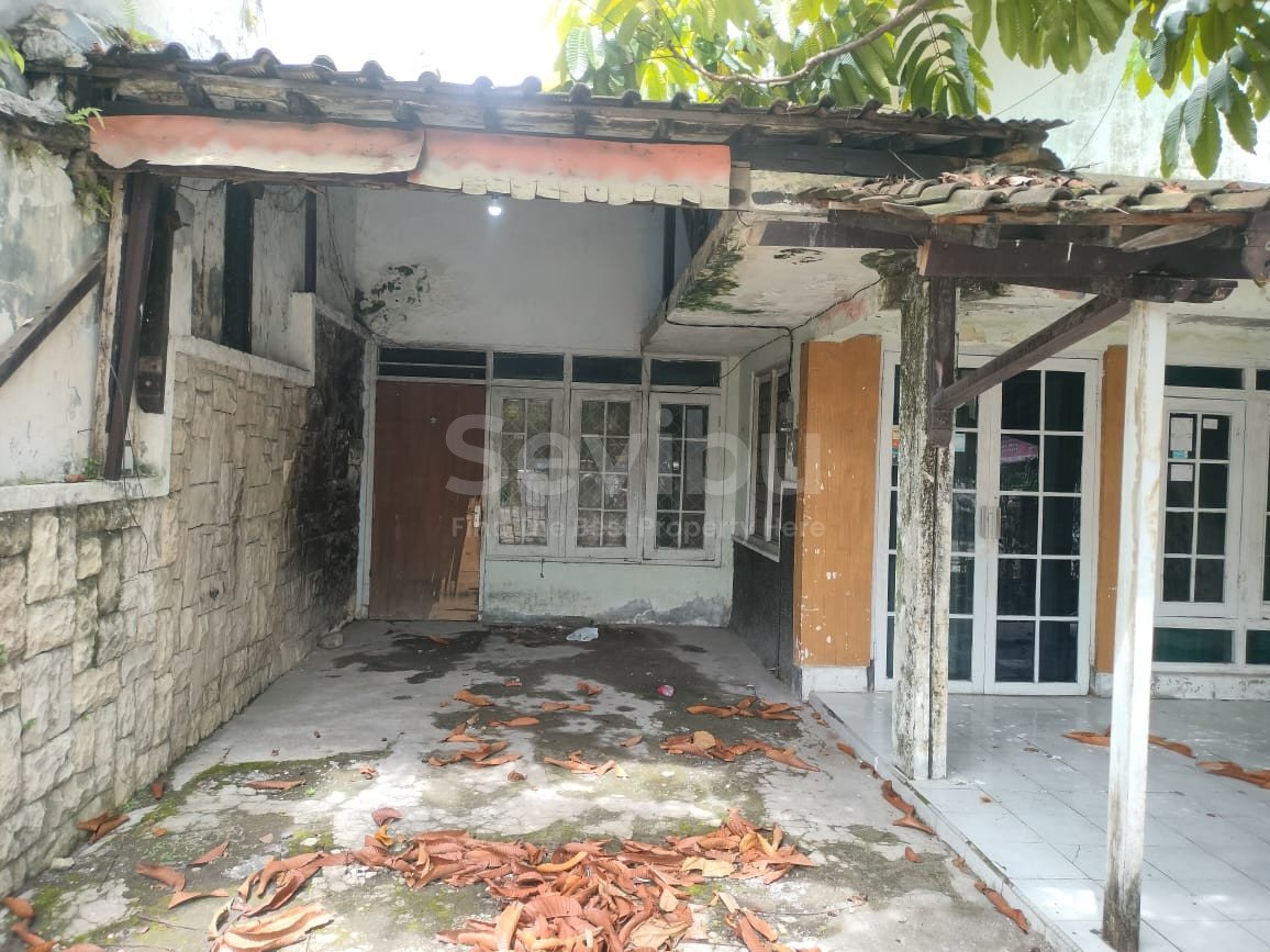 WhatsApp Image 2025-12-11 at 12.54.02 PM (1)