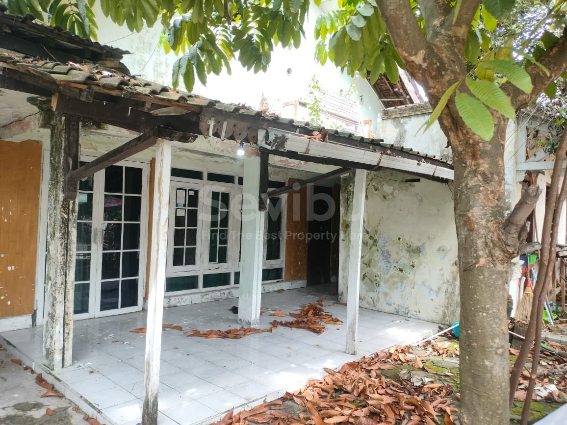 WhatsApp Image 2025-12-11 at 12.54.02 PM (2)