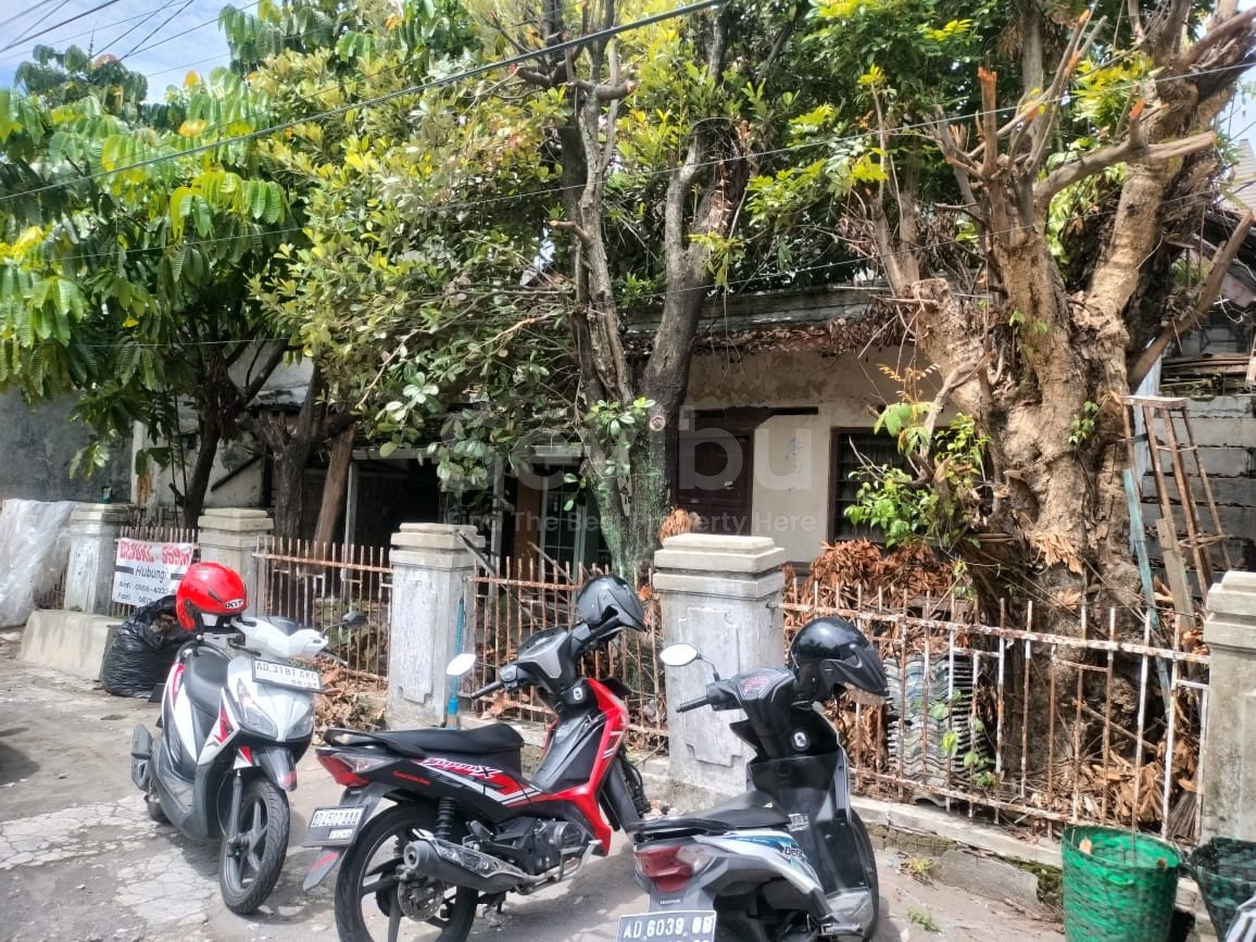 WhatsApp Image 2025-12-11 at 12.54.02 PM