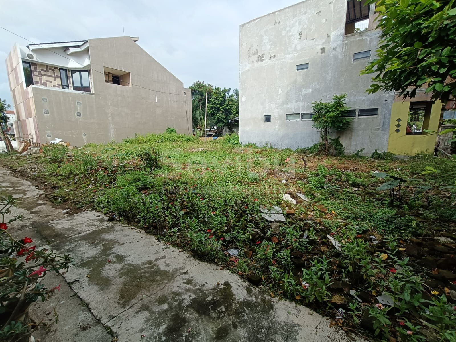 WhatsApp Image 2025-12-12 at 13.31.58 (1)