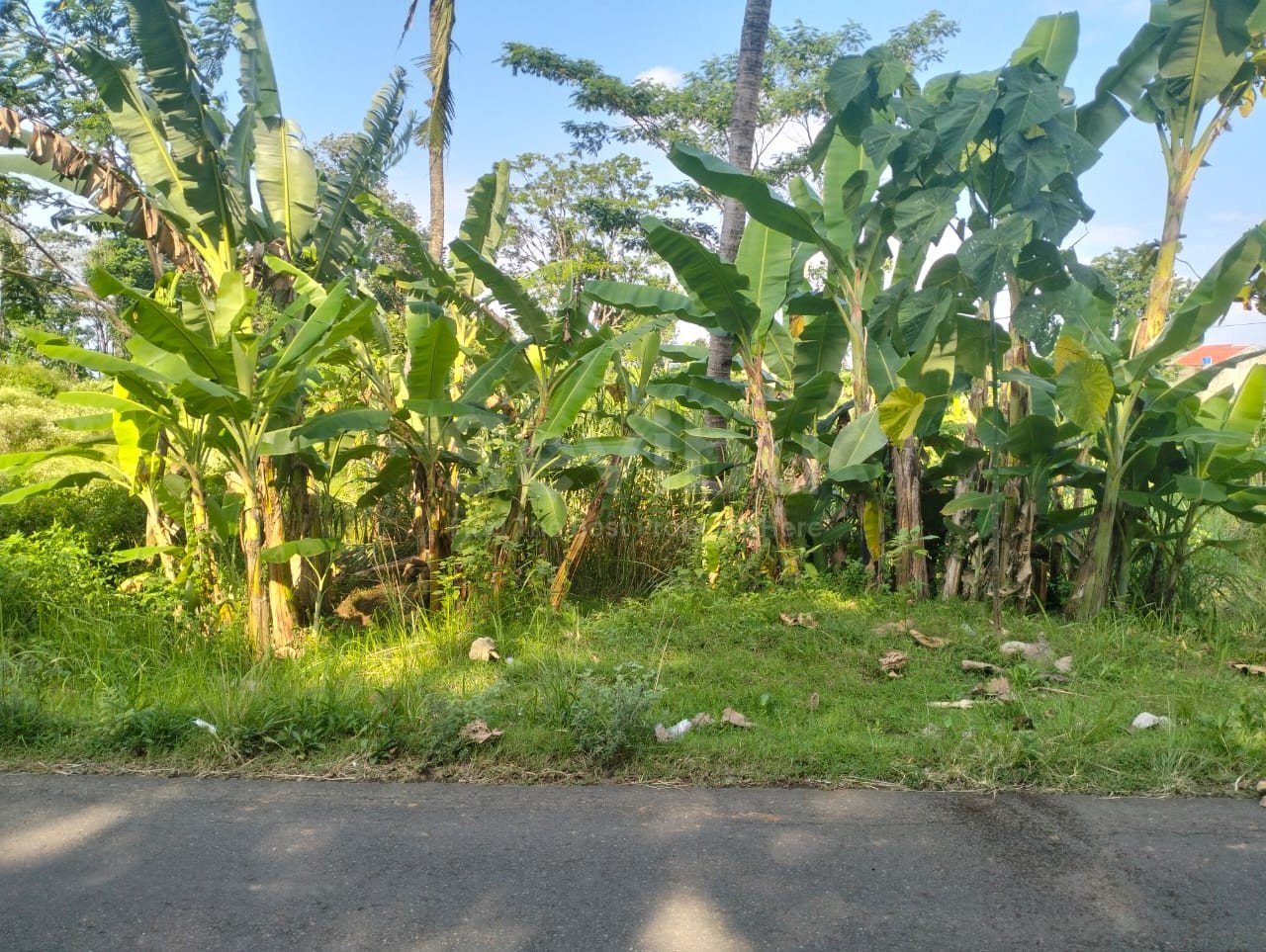 WhatsApp Image 2025-12-12 at 14.30.03