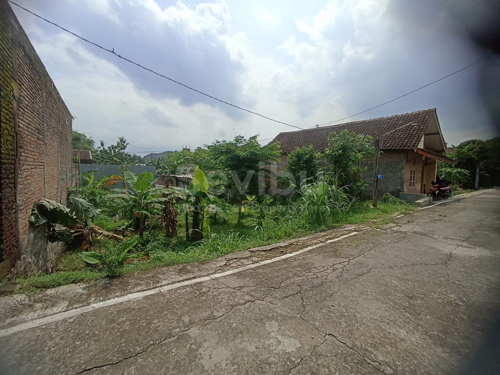 WhatsApp Image 2025-12-13 at 12.46.22