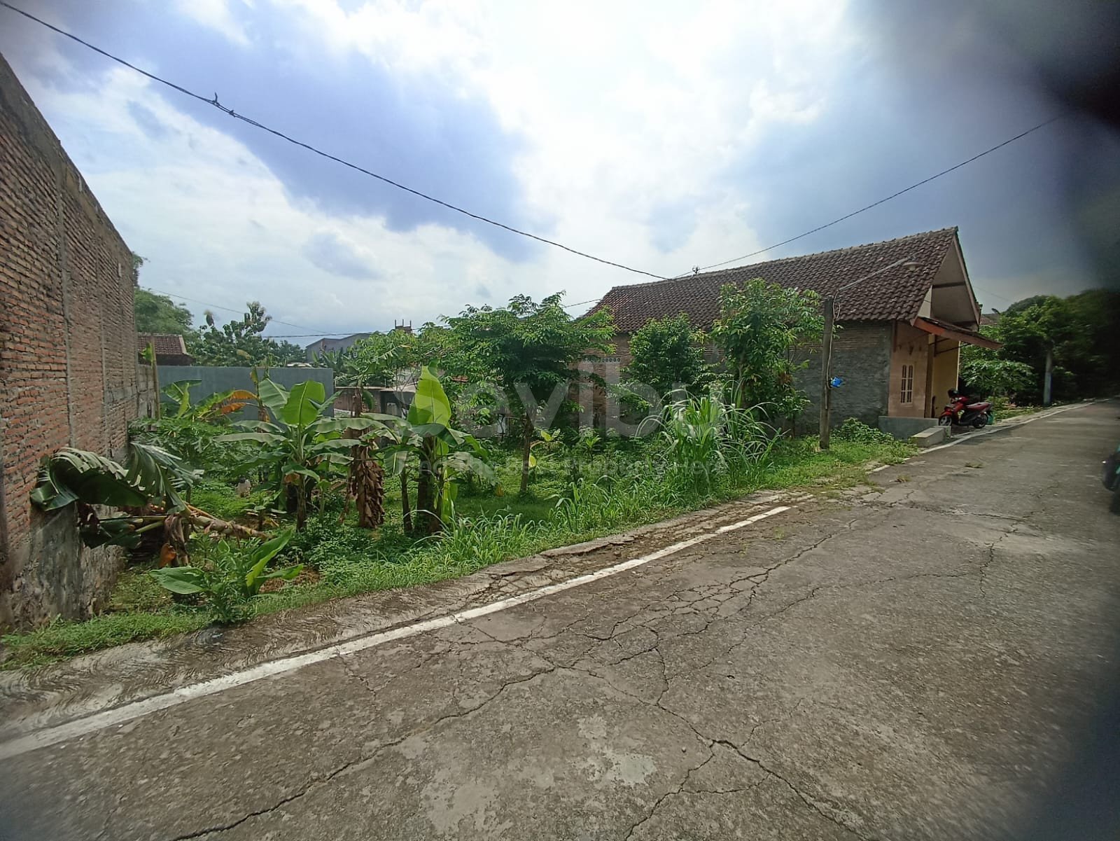 WhatsApp Image 2025-12-13 at 12.46.23