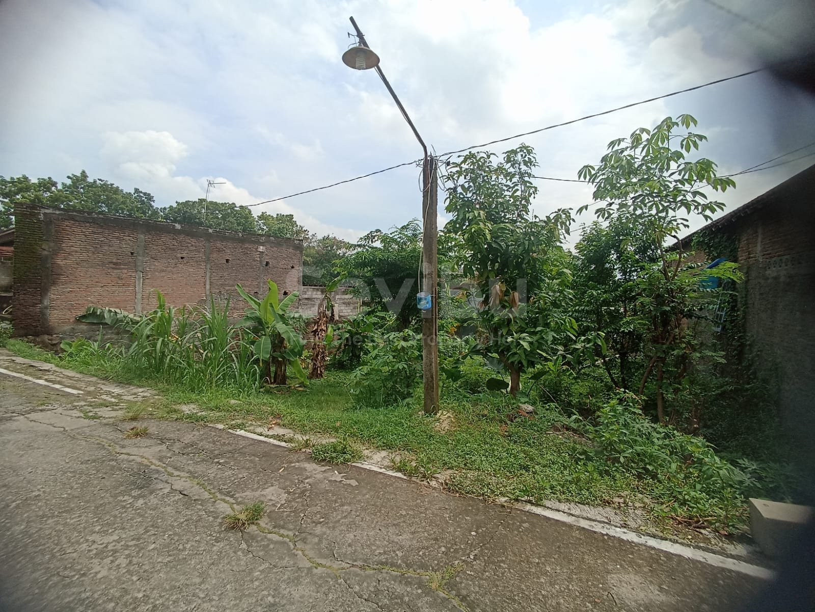 WhatsApp Image 2025-12-13 at 12.46.25