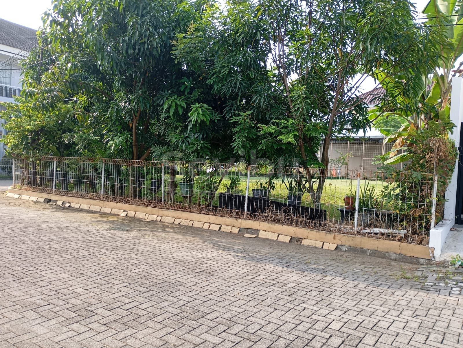 WhatsApp Image 2025-12-20 at 10.56.49