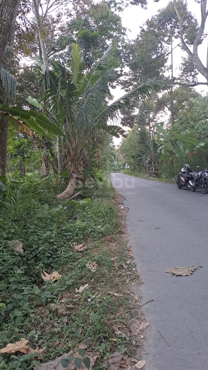 WhatsApp Image 2025-12-20 at 8.24.50 PM