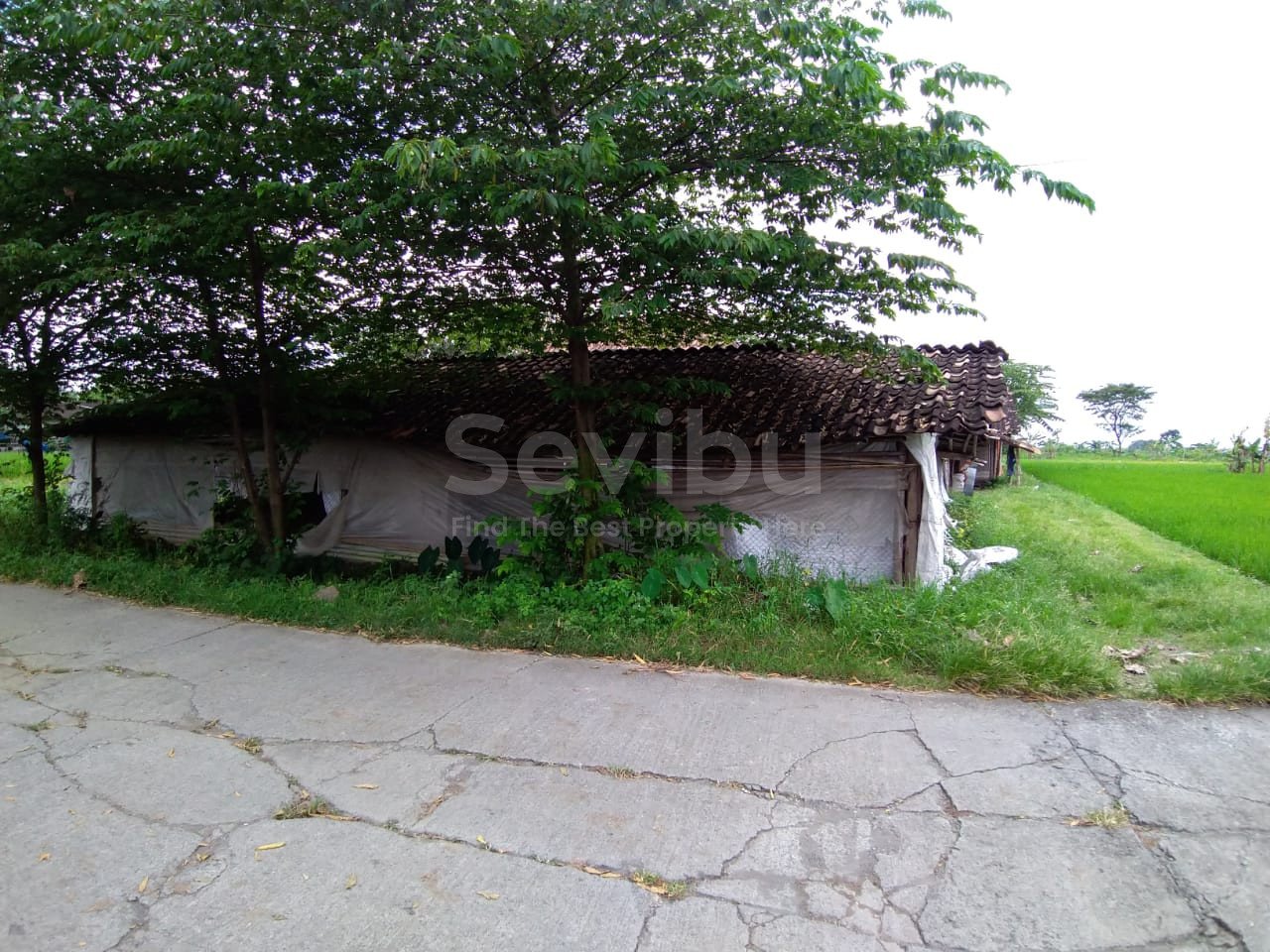 WhatsApp Image 2021-04-17 at 12.42.14