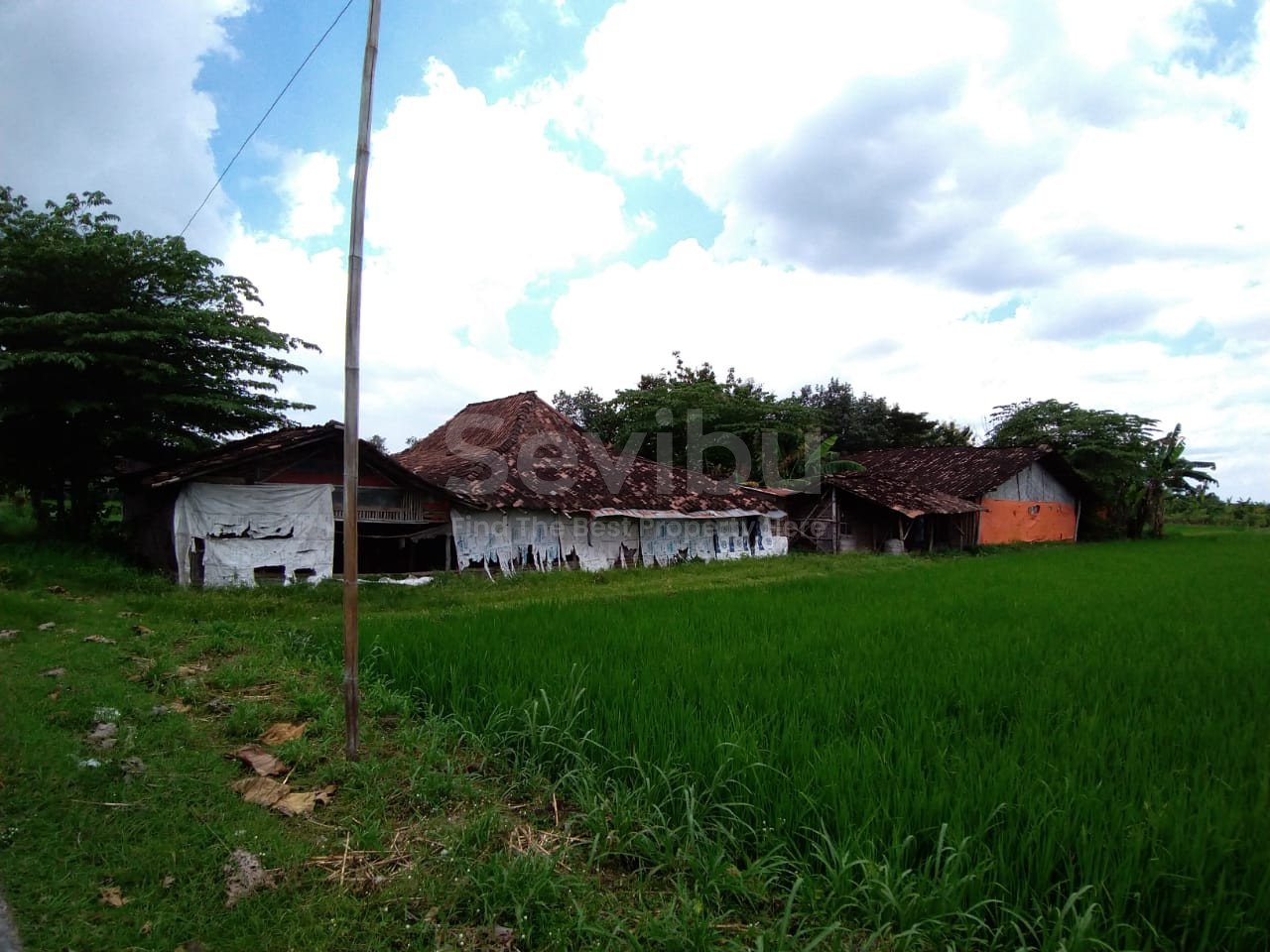 WhatsApp Image 2021-04-17 at 12.42.15 (1)