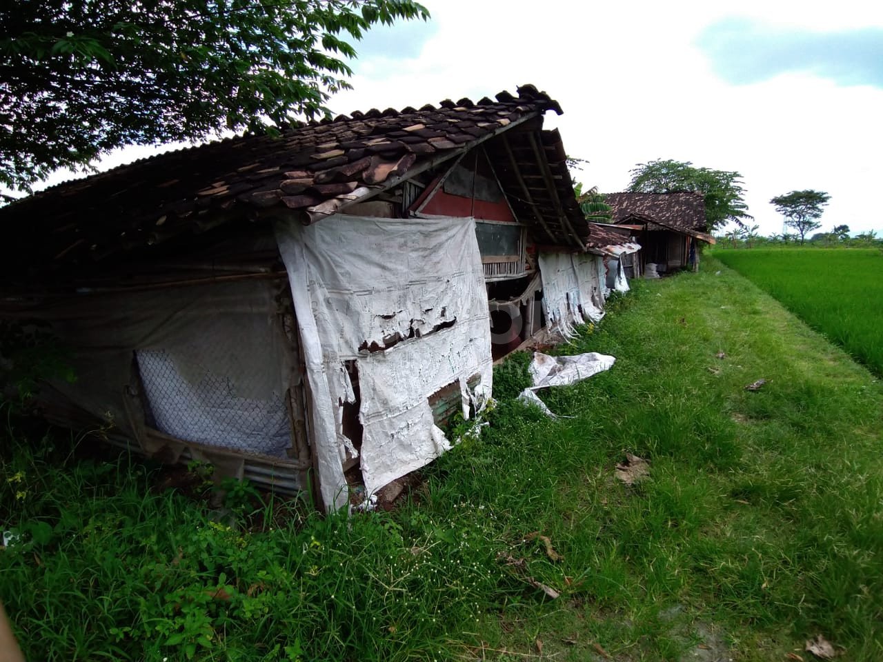 WhatsApp Image 2021-04-17 at 12.42.15