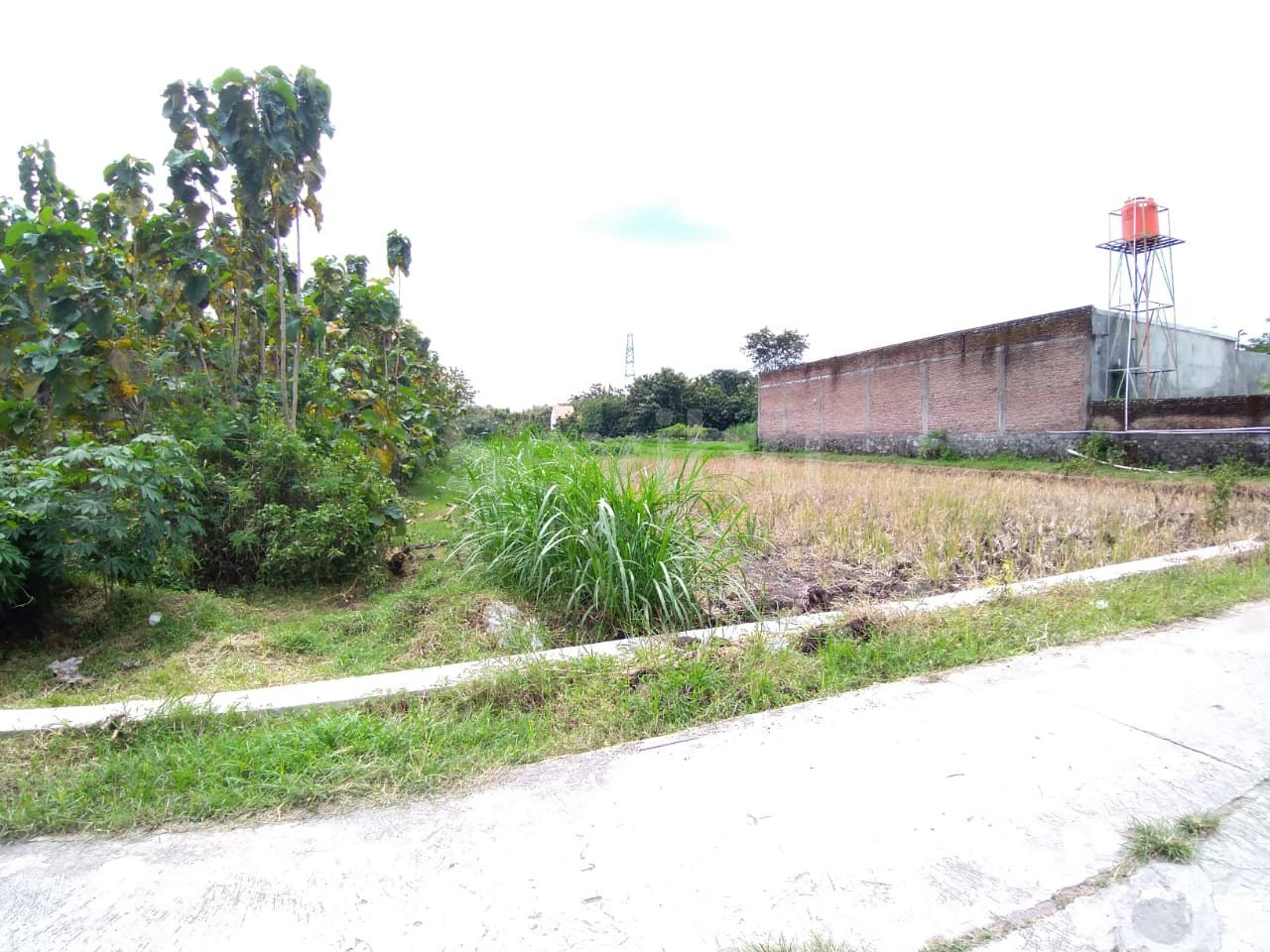 WhatsApp Image 2021-04-17 at 12.43.29 (2)