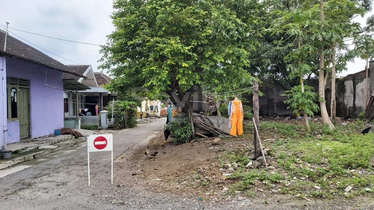 WhatsApp Image 2021-11-01 at 1.09.27 PM