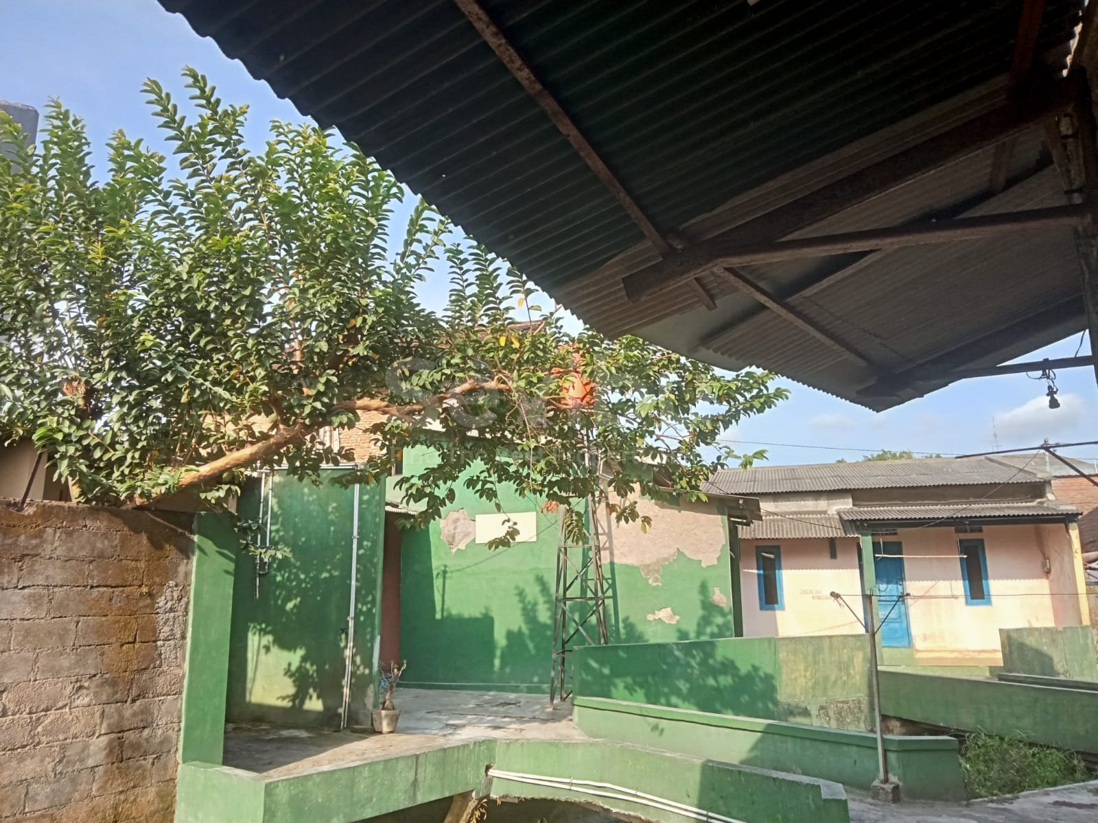 WhatsApp Image 2023-07-08 at 15.07.18 (1)