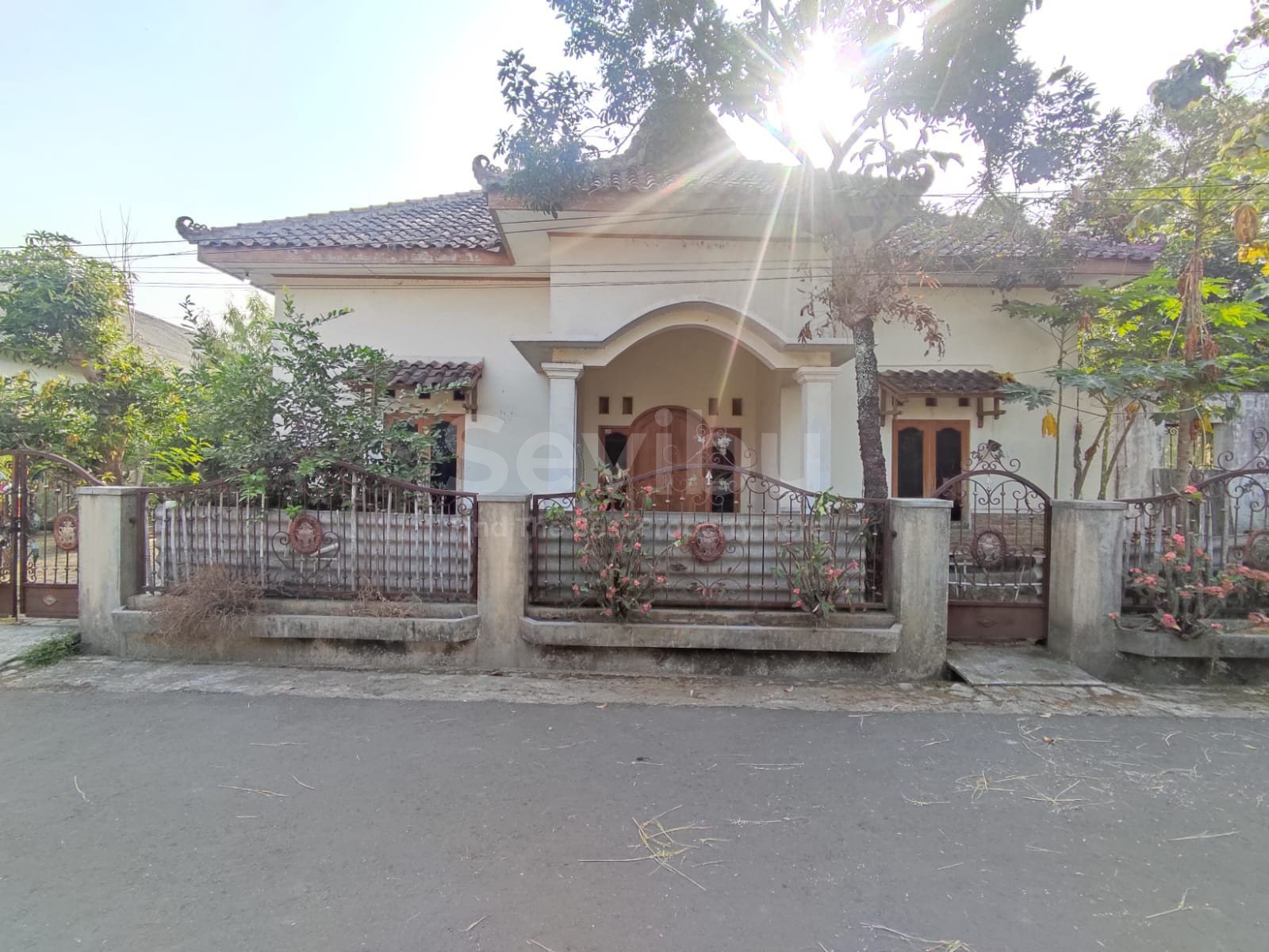 WhatsApp Image 2023-08-01 at 11.14.47