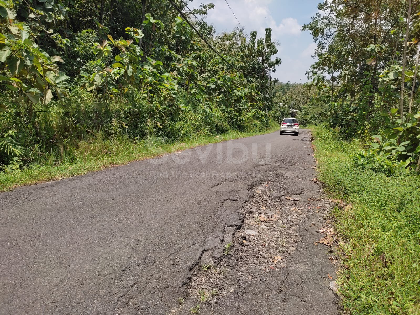 WhatsApp Image 2023-09-05 at 13.01.27 copy