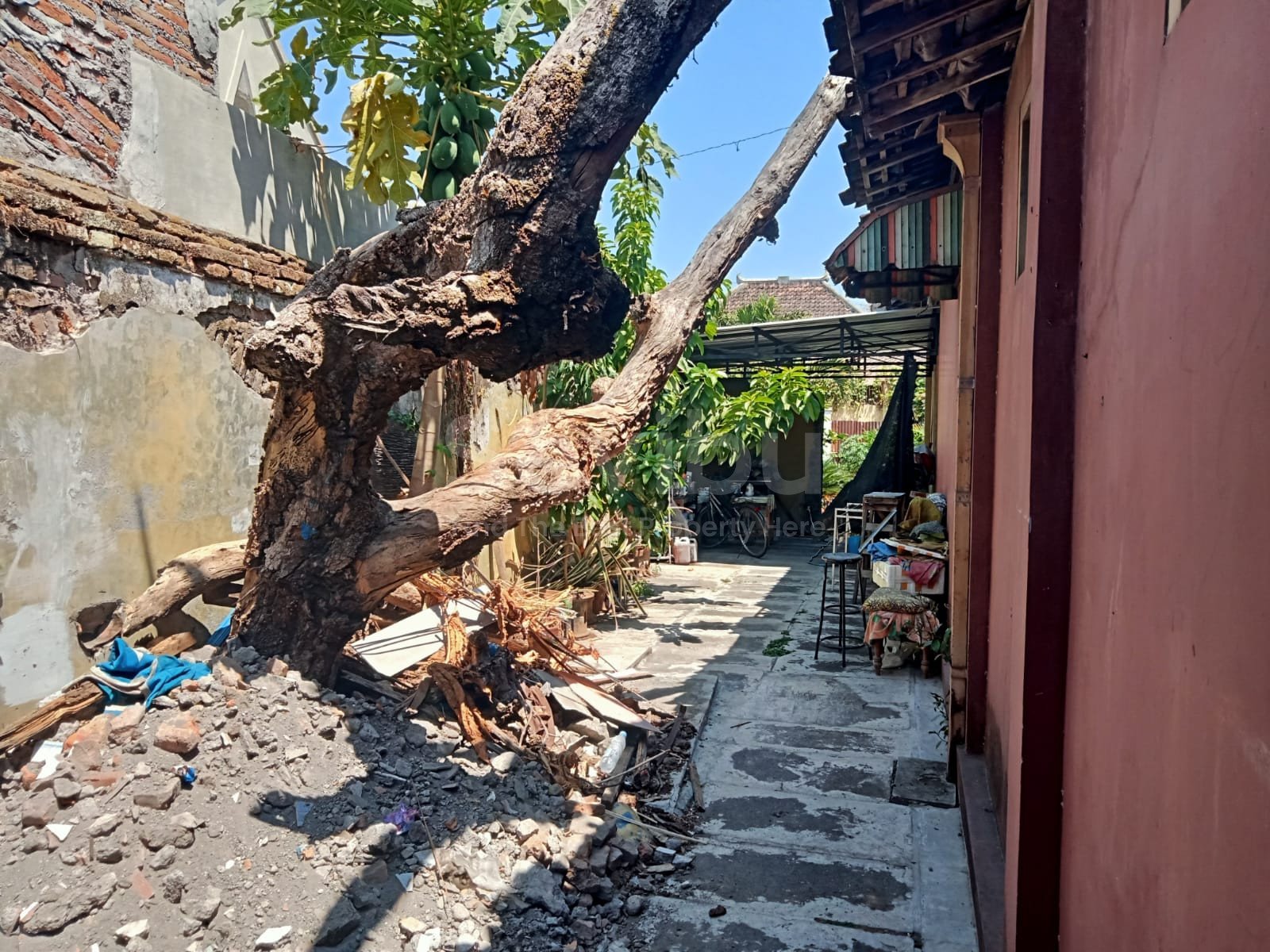 WhatsApp Image 2023-09-09 at 13.17.09