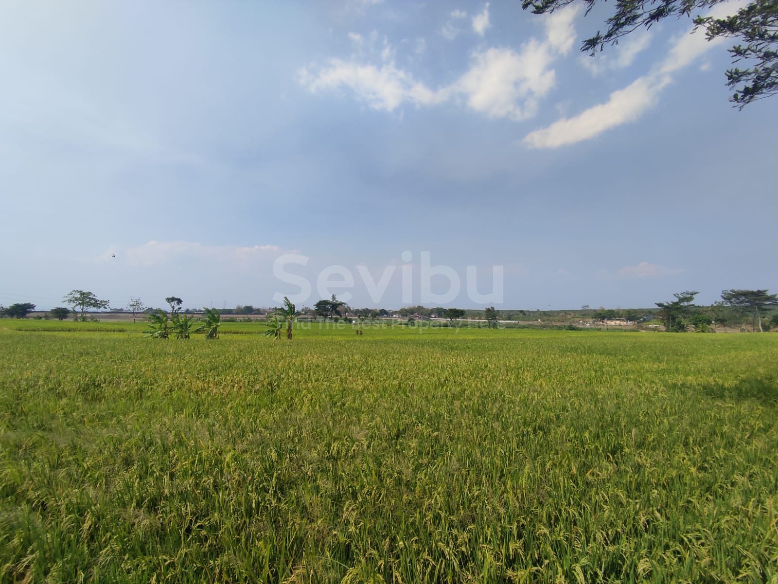 WhatsApp Image 2023-10-30 at 09.57.44