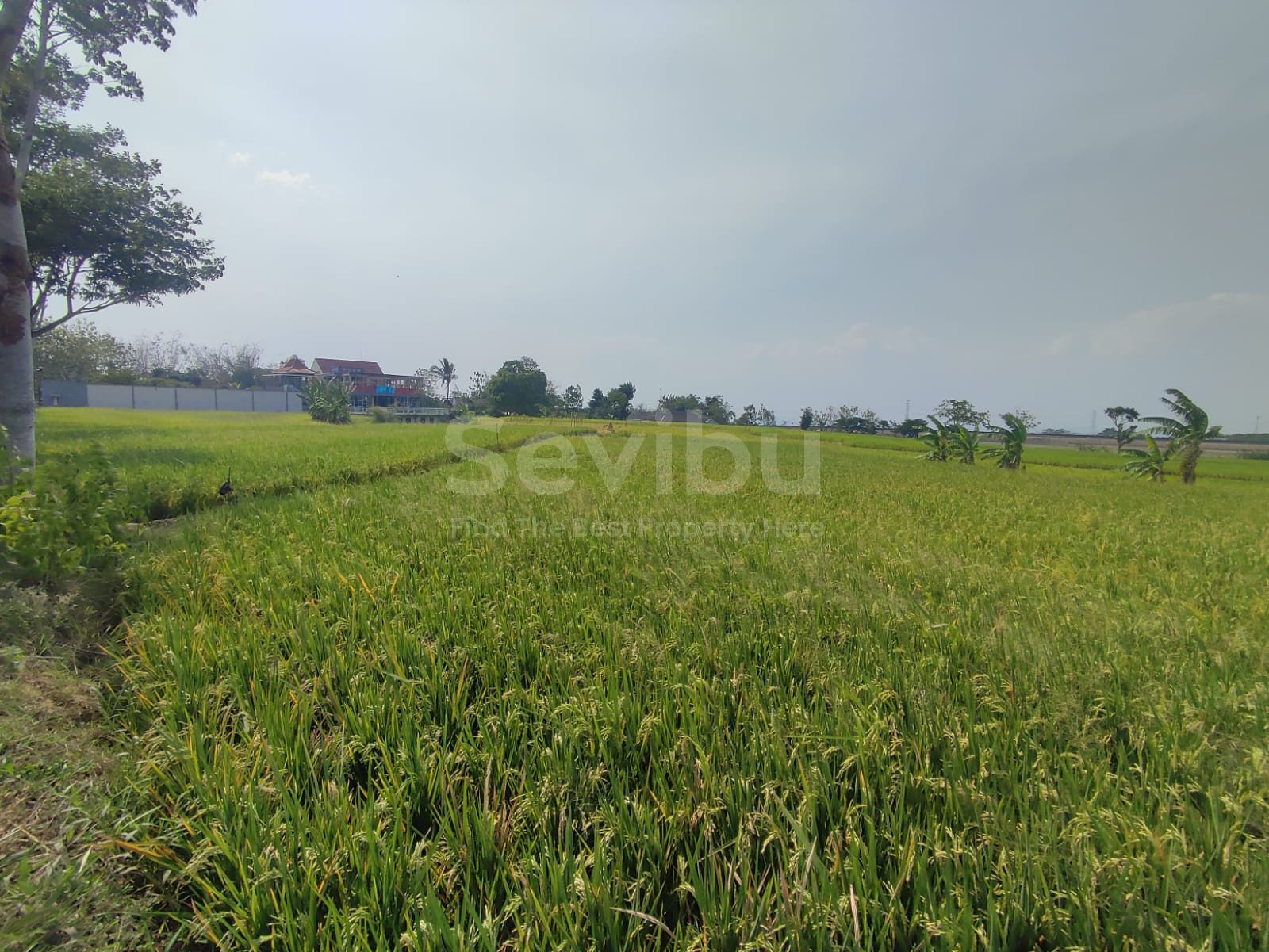 WhatsApp Image 2023-10-30 at 09.57.45 (1)