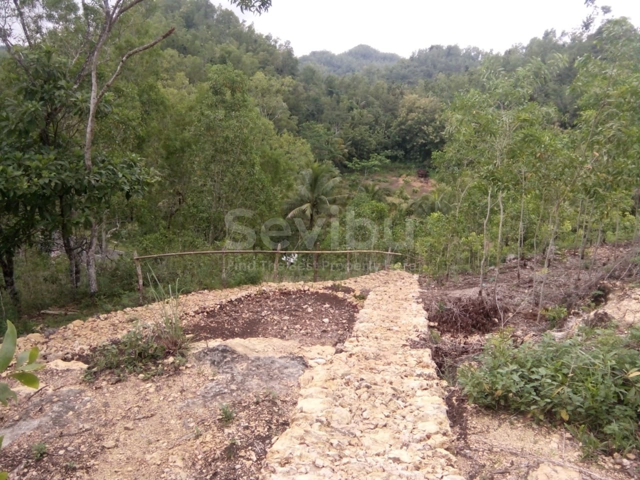 WhatsApp Image 2023-12-13 at 11.20.14