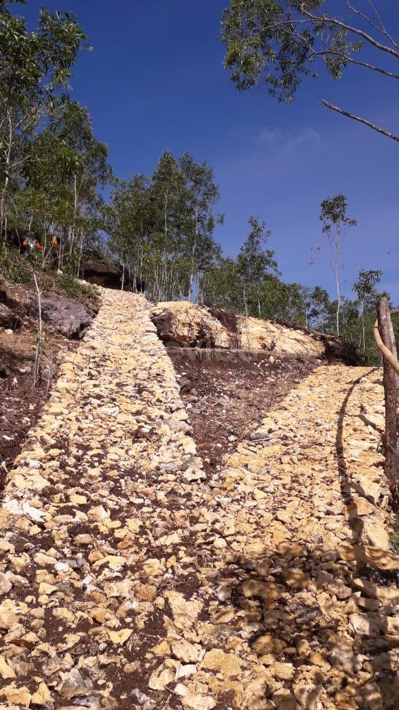 WhatsApp Image 2023-12-13 at 11.20.56