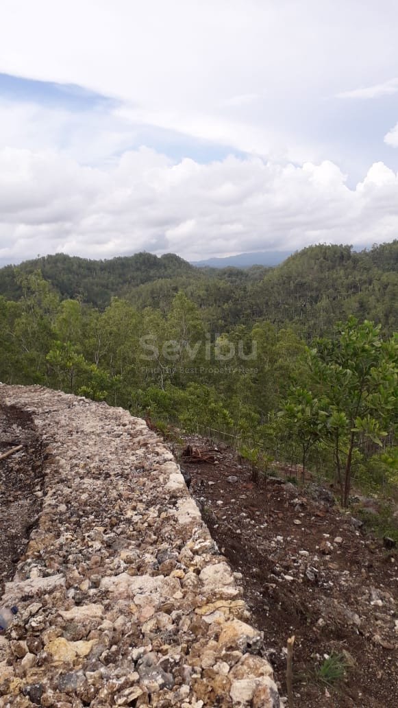 WhatsApp Image 2023-12-13 at 11.20.56(1)