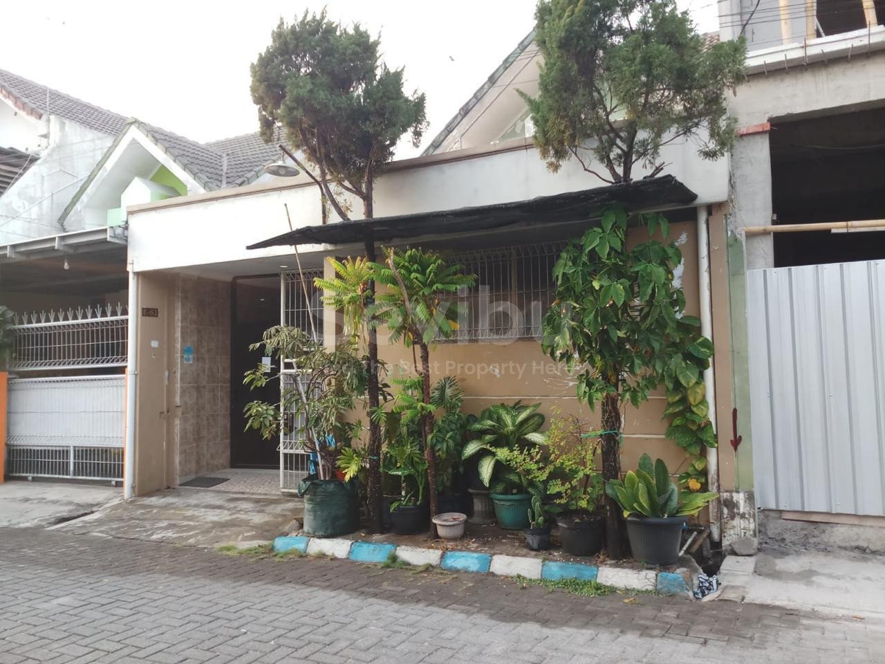 WhatsApp Image 2024-11-02 at 06.20.24 (1)