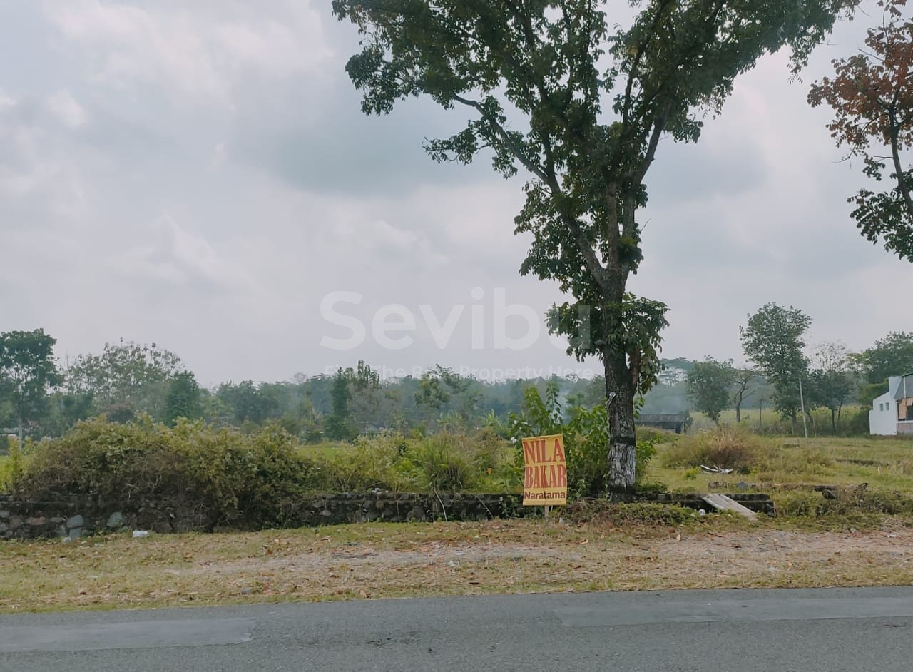 WhatsApp Image 2025-08-26 at 11.34.46 (1)