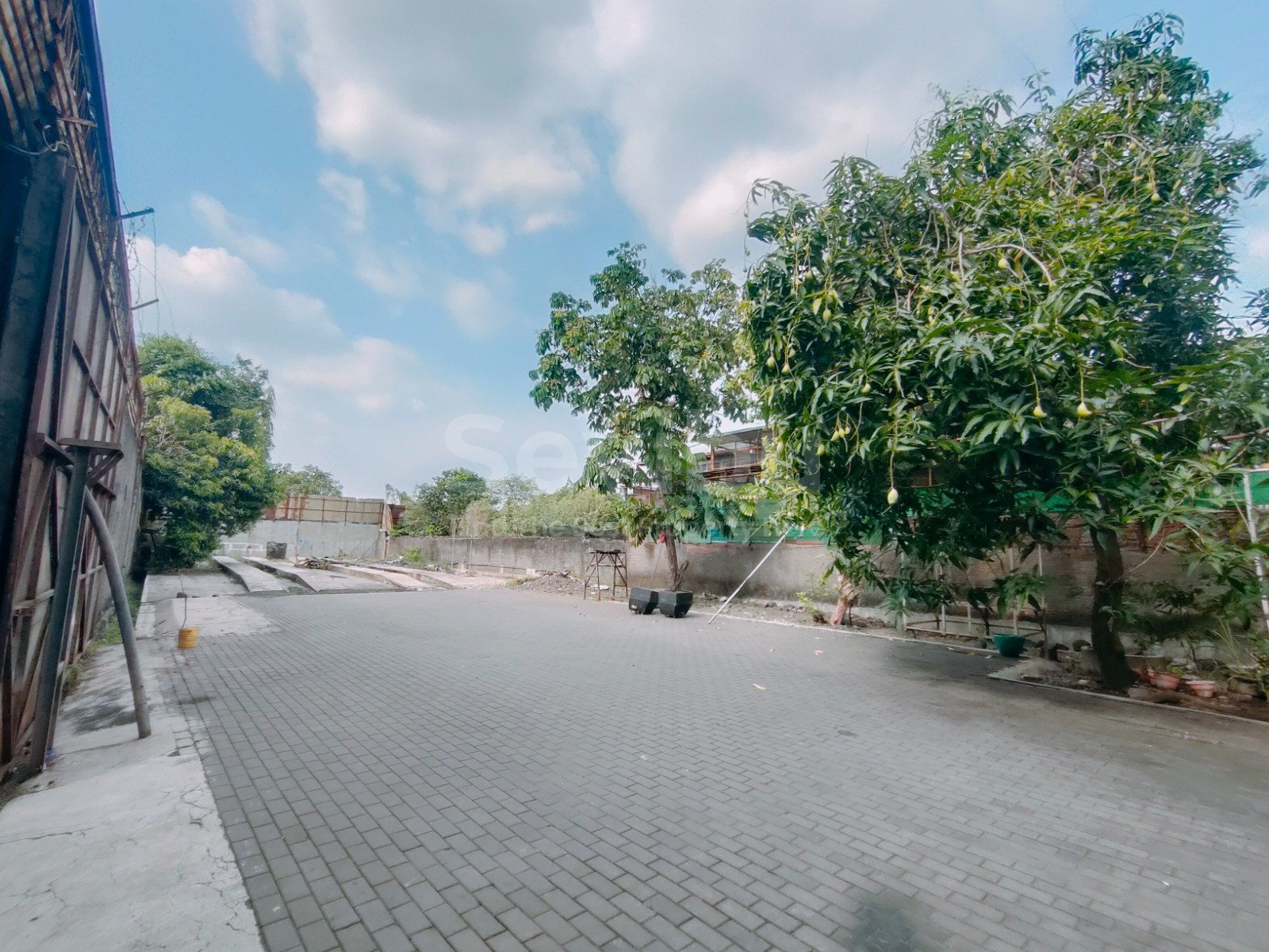 WhatsApp Image 2025-09-09 at 08.38.10 (1)