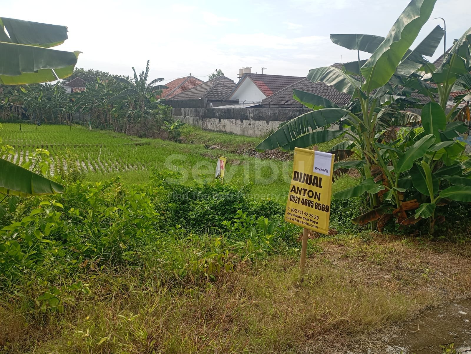 WhatsApp Image 2025-11-10 at 11.59.03 (1)