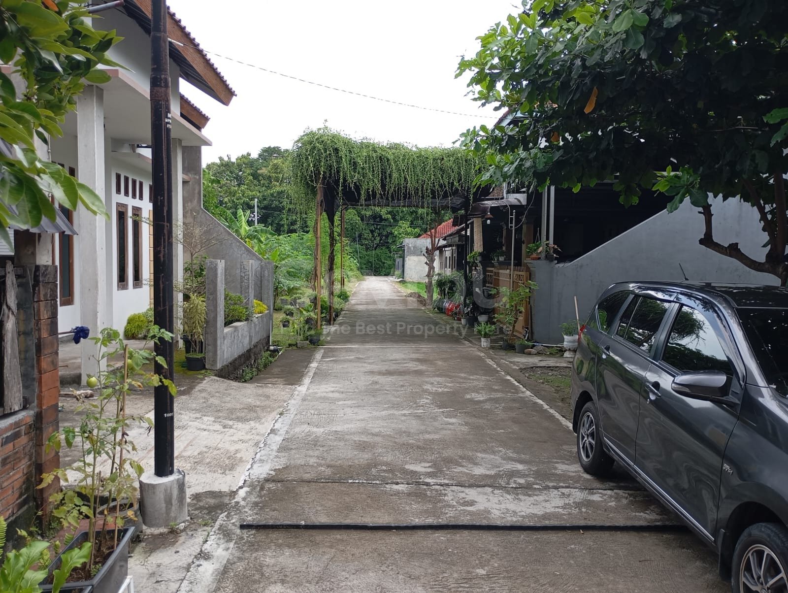 WhatsApp Image 2025-12-06 at 15.08.31